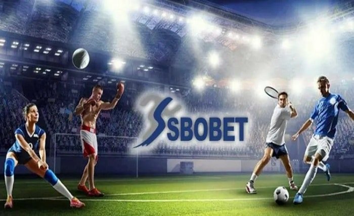 SBobet Agent